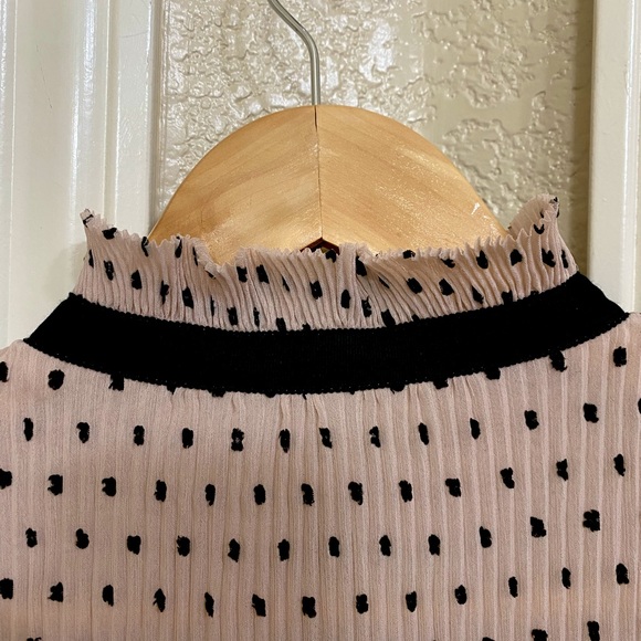 Beautiful Max Studio Blush & Black High Collared Blouse - Picture 4 of 9